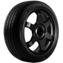 Pirelli P ZERO A/S+ - Ultra high performance